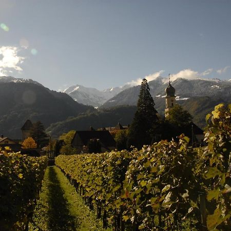 Victor'S Bed & Breakfast Maienfeld Bagian luar foto