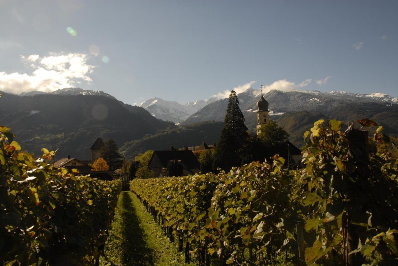 Victor'S Bed & Breakfast Maienfeld Bagian luar foto